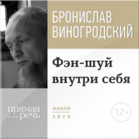 Бронислав Брониславович Виногродский. Лекция «Фэн-шуй внутри себя»
