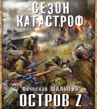 Вячеслав Шалыгин. Остров Z