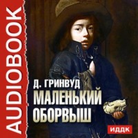 Джеймс Гринвуд. Маленький оборвыш
