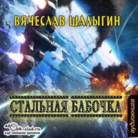 Вячеслав Шалыгин. Стальная бабочка