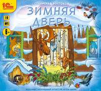 . Зимняя дверь