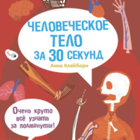 Анна Клэйборн. Человеческое тело за 30 секунд