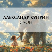 . Слон