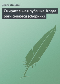 . Смирительная рубашка. Когда боги смеются (сборник)