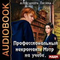 . Профессиональный некромант. Мэтр на учебе