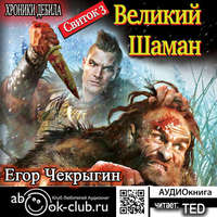 . Хроники Дебила. Свиток 3. Великий Шаман