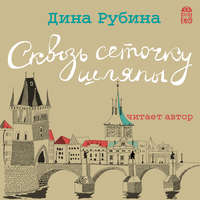 . Сквозь сеточку шляпы (сборник)
