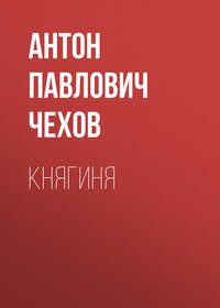 . Княгиня