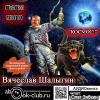 Вячеслав Шалыгин. Космос!