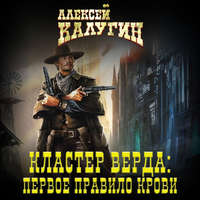 Алексей Калугин. Кластер Верда: Первое правило крови