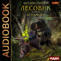 Евгений Старухин. Лесовик. Детский дом