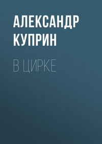 . В цирке