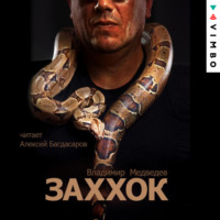 Владимир Медведев. Заххок