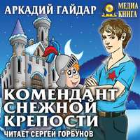 . Комендант снежной крепости