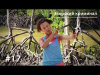 . Зверский криминал: медоеды-громилы, павианы-грабители и крокодилы-убийцы