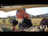 . Нацпарки Африки: зоопарк наоборот