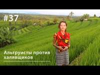 Евгения Тимонова. Давайте по справедливости: альтруисты против халявщиков