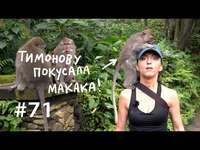 . Почему мы любим массаж и сплетни?