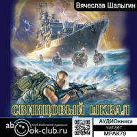 Вячеслав Шалыгин. Свинцовый шквал