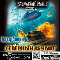 Влад Савин. Северный гамбит