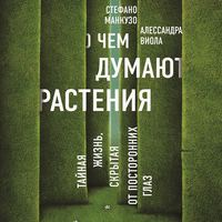 Стефано Манкузо. О чем думают растения?