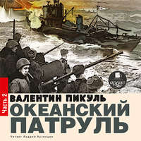 . Океанский патруль. Книга первая. Аскольдовцы. Том 2