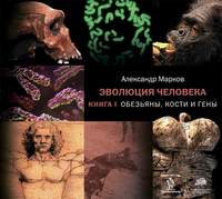. Обезьяны, кости и гены