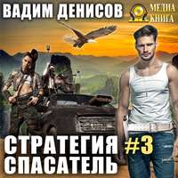 Вадим Денисов. Стратегия. Спасатель