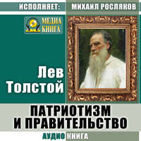 . Патриотизм и правительство