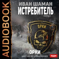 Иван Шаман. Истребитель 2: Орки