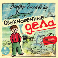 Виктор Голявкин. Обыкновенные дела