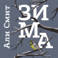 Али Смит. Зима