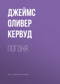. Погоня