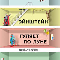 Джошуа Фоер. Эйнштейн гуляет по Луне. Наука и искусство запоминания
