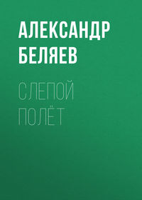 . Слепой полёт
