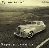 Руслан Галеев. Черепаховый суп