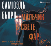 Самюэль Бьорк. Мальчик в свете фар