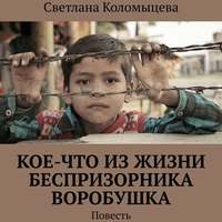 Светлана Коломыцева. Кое-что из жизни беспризорника Воробушка. Повесть