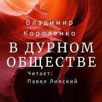 . В дурном обществе