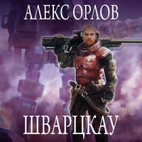 Алекс Орлов. Шварцкау