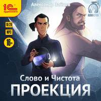 Александр Зайцев. Слово и Чистота. Проекция