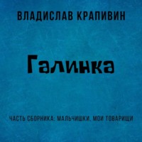 Владислав Крапивин. Галинка