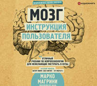 Марко Магрини. Мозг. Инструкция пользователя