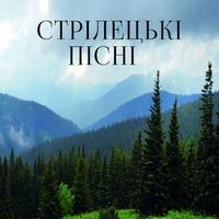 Народна творчість. Стрілецькі пісні