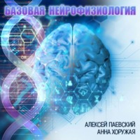 Анна Хоружая. Базовая нейрофизиология (Цикл из 29 лекций)