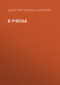 Дмитрий Мамин-Сибиряк. В ученье