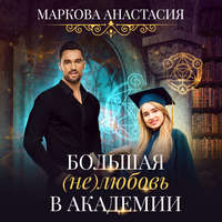 Анастасия Маркова. Большая (не)любовь в академии