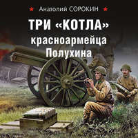 Анатолий Сорокин. Три «котла» красноармейца Полухина