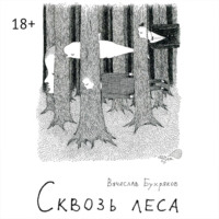 Вячеслав Бухряков. Сквозь леса
