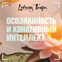 Лобсанг Тенпа. Осознанность и конативный интеллект